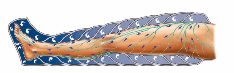 Come-funziona-la-Pressoterapia-gambe-cellulite-Centro-Estetico-Fiore-di-Loto-Cologno-Monzese